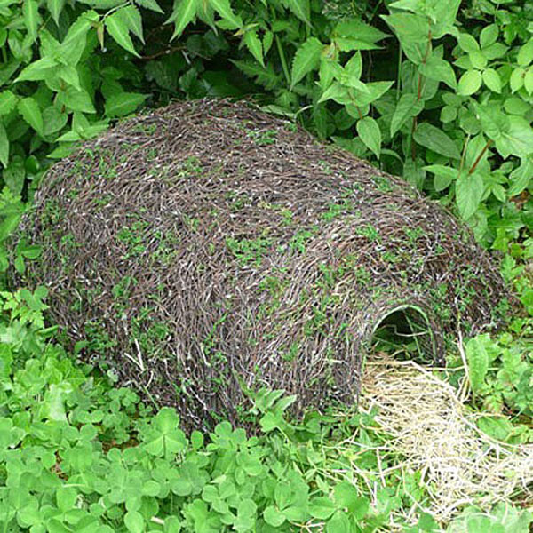 Hedgehog Habitat