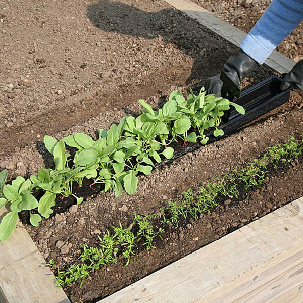 Rowplanter