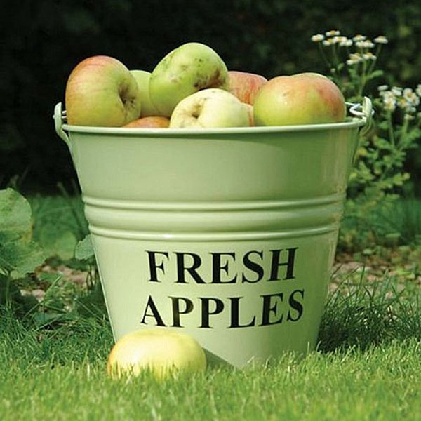 Fresh Apples Bucket