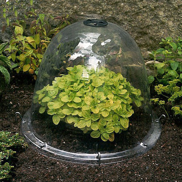 Origional Victorian Bell. Pack