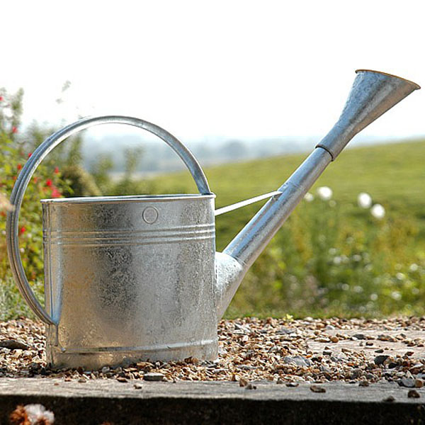 Stainless Steel Waterfall Watering Can - 9ltr