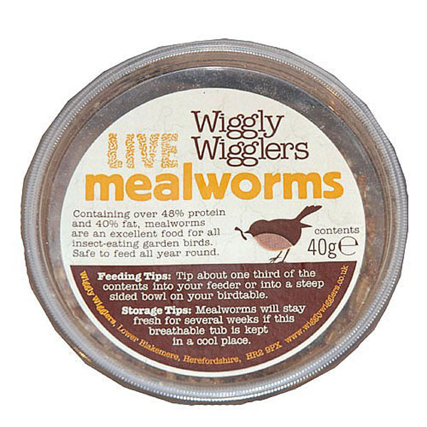 Farmer Phil's Live Mealworms Tub 40g