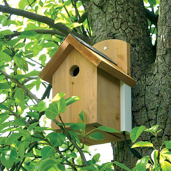 Gardman Colour Camera Nest Box