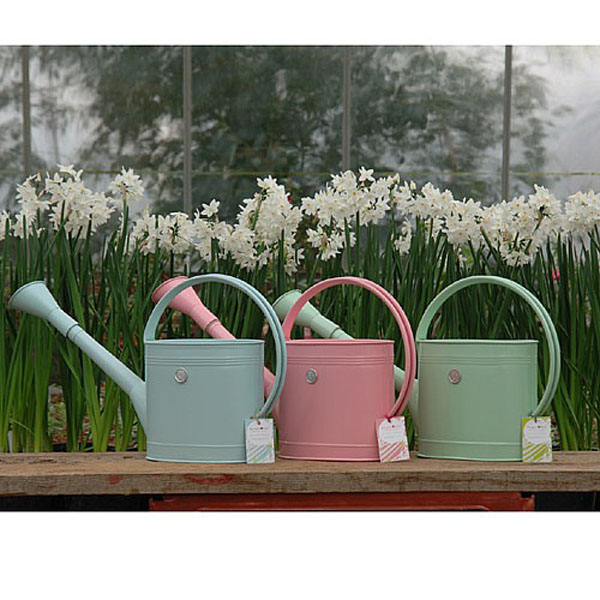 Coloured Stainless Steel Watering Can - 5ltr