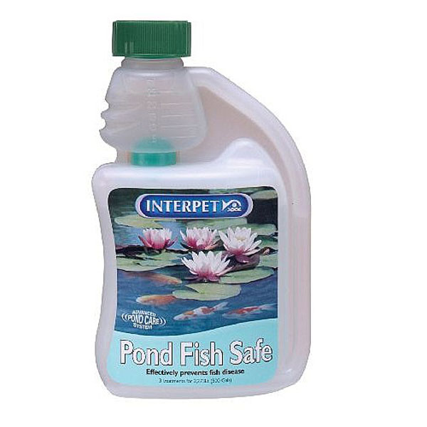 General Tonic - 2 Sizes Available