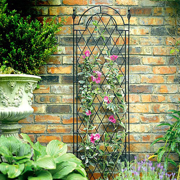 Spiral Trellis - 2 Sizes Available