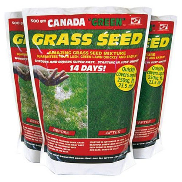 Canada Green Grass Seed - 3 sizes
