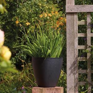 Stewart Garden 40cm Basalt Low Round Planter - Black