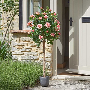 Smart Garden Regent's Roses Perfect Pink - 120cm