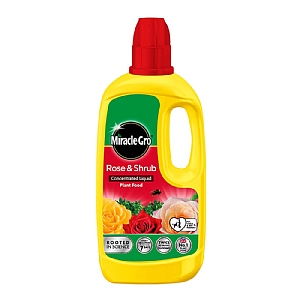 Miracle-Gro Rose & Shrub Concentrated Liquid 800ml