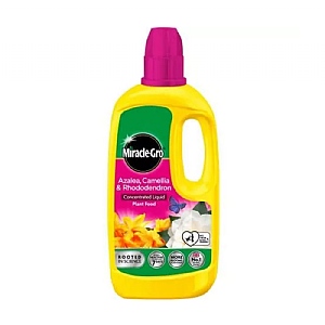 Miracle-Gro Azalea, Camellia & Rhododendron Concentrated Liquid 800ml