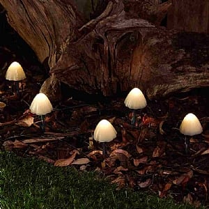 Forest Solar Mushroom Lights (Set Of 12)