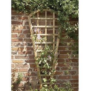 Plant Supports