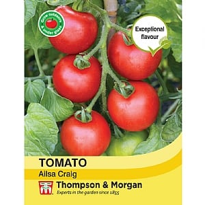 Tomato Ailsa Craig - Packet of 75 Seeds