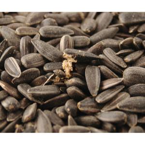 Black Sunflower Seed