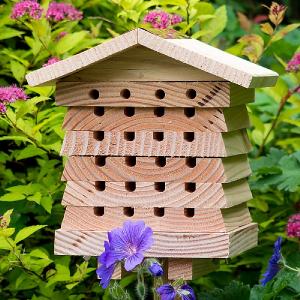 Solitary Bee Hive & Insect Habitat