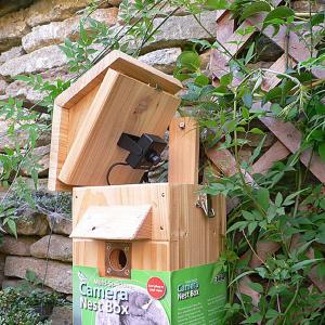 Birdbox Cameras