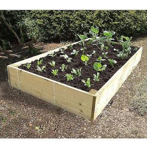 Deluxe Extra Deep Wooden Raised Vegetable Bed 1.8x.0.9mtr