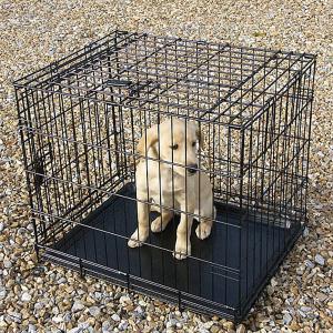 Dog Crates & Kennels