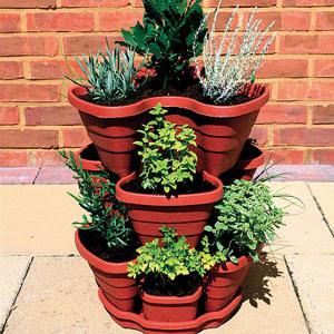 Growing Your Own