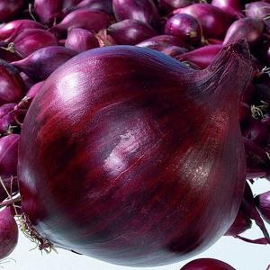 Onion Sets & Garlic