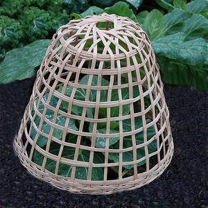 Cloches