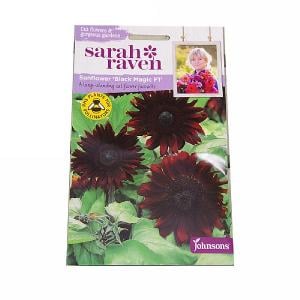 Sarah Raven Cutflower Collection Sunflower Black Magic F1
