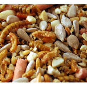 Wild Bird Food