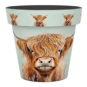 Zest Pot Highland Cow (Various Sizes)