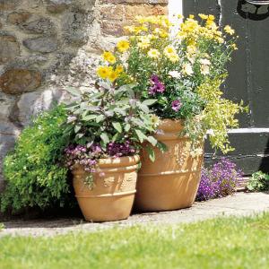 Decorative Plastic Garden & Patio Pots