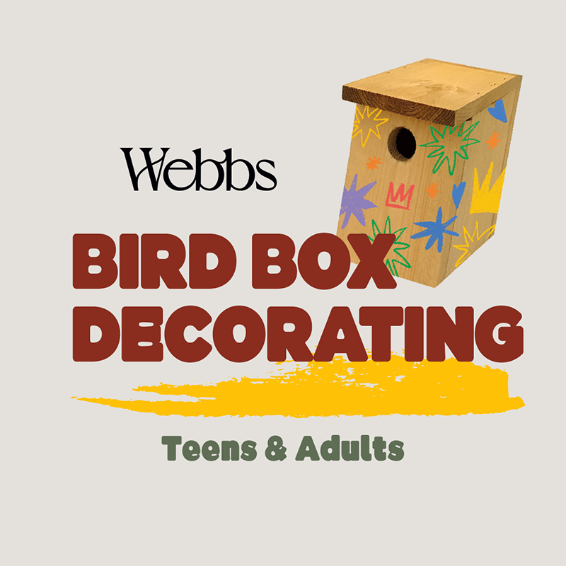 Teens & Adults Bird Box Decorating