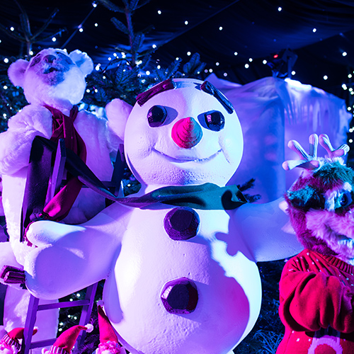 The Christmas Grotto at Cheltenham