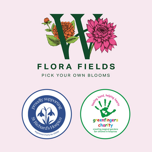 Flora Fields Charity Dahlia Dig Up