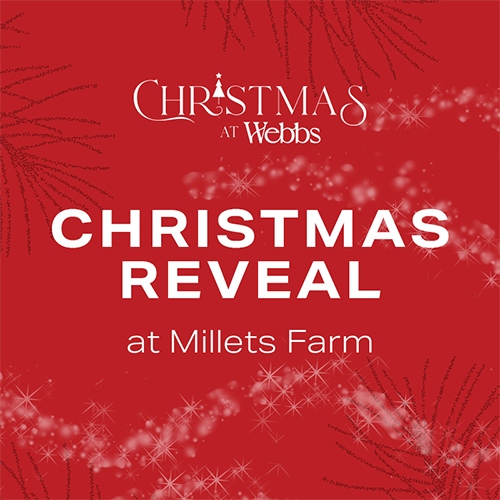 Christmas Department Reveal at Webbs, Millets Farm
