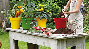 Eco-Gardening