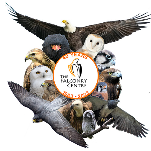 The Falconry Centre