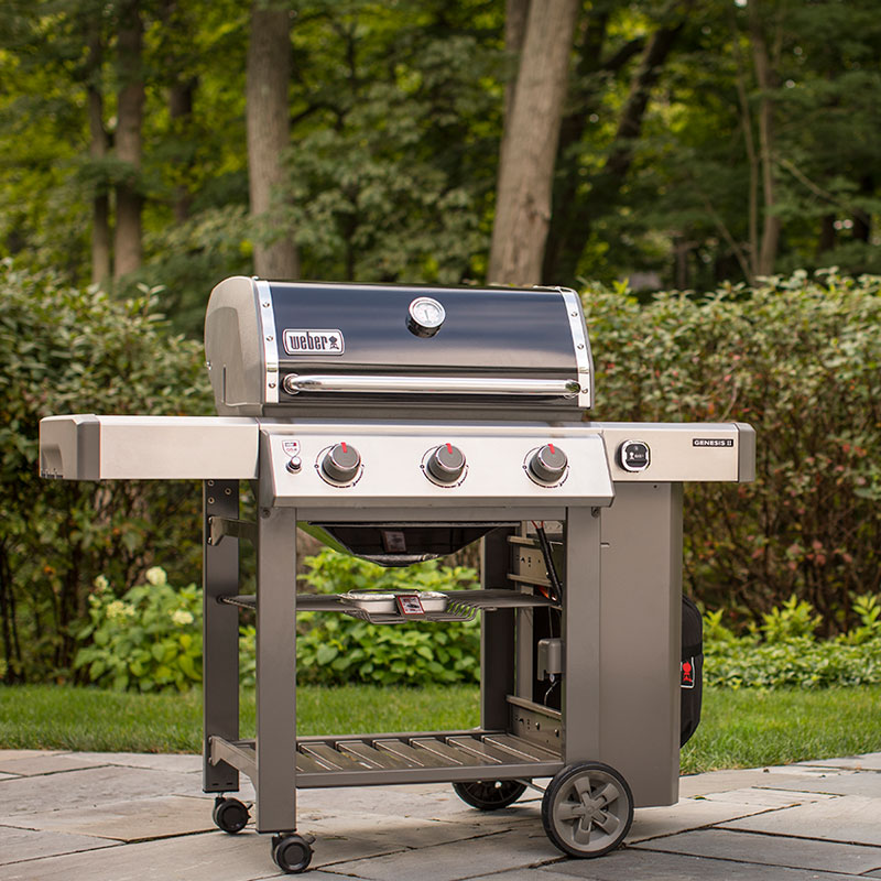 Weber Genesis II E-310