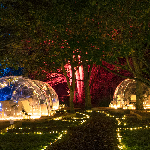 Webbs Hygge Igloos