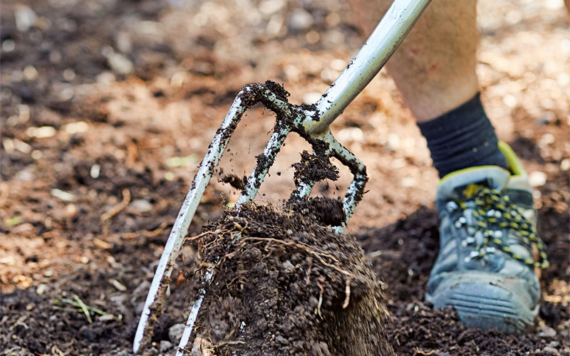 Plant a Border Step 1