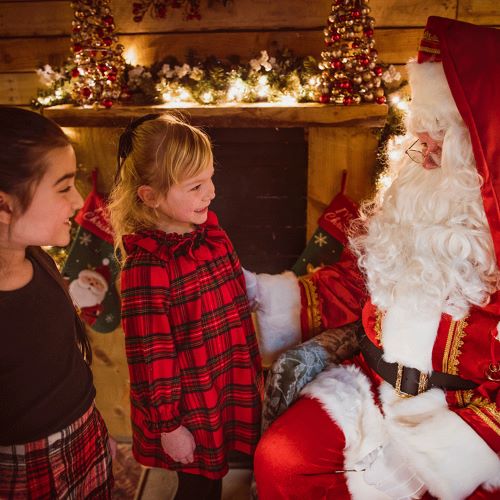 The Christmas Grotto at Millets Farm
