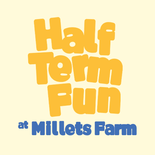 February Half Term 2026 at Webbs, Millets Farm