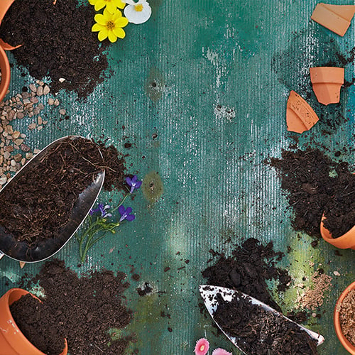 Guide: Choose the Right Compost For You