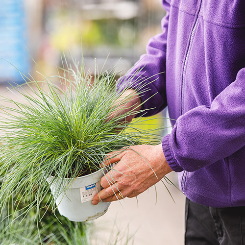 Zero Hours Customer Service Assistant (Tills) - Webbs, Millets Farm