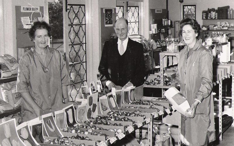 Webbs Thatch in the mid-1960s