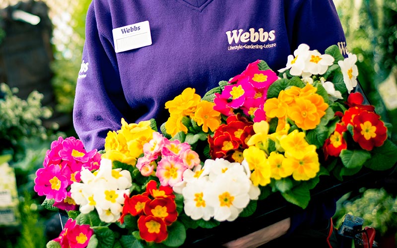 Webbs Garden Centres open Webbs, West Hagley