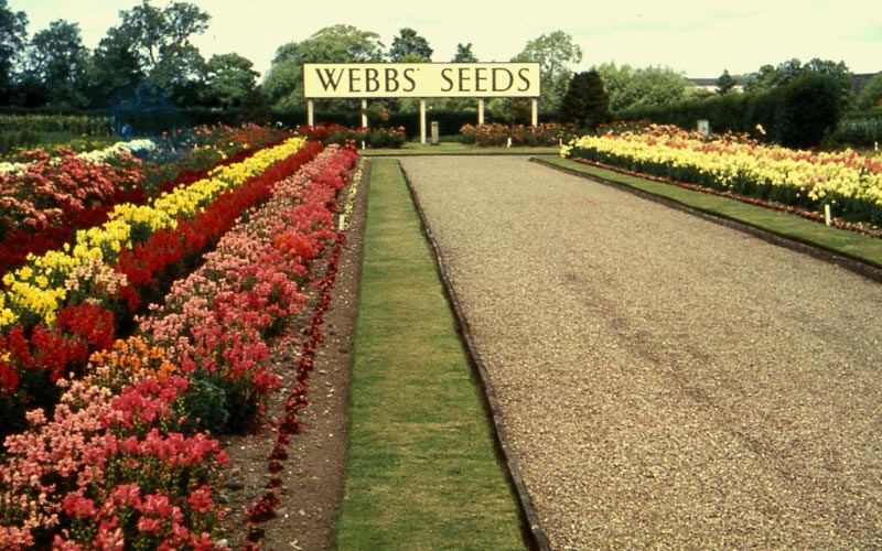 Webbs Seeds