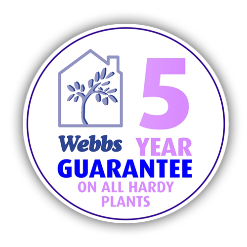 Webbs plant guarantee