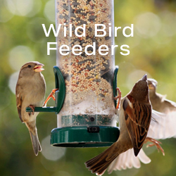 wild bird feeders
