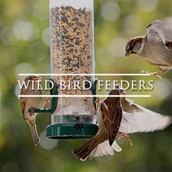 wild bird feeders