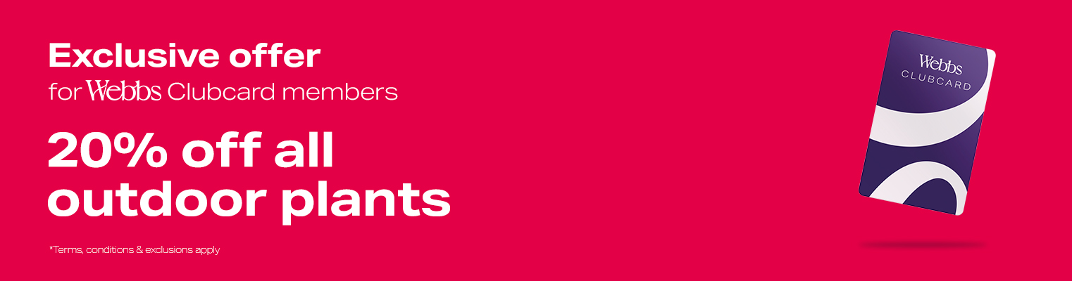 Exclusive Clubcard Offer